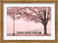 Moody Pink Day in the Park Fine Art Print