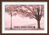 Moody Pink Day in the Park Fine Art Print