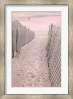 Pink Beach Sunrise Fine Art Print