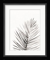Organic Botanical I Framed Print