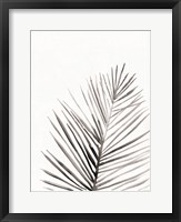 Organic Botanical I Framed Print