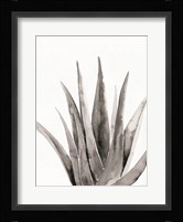 Organic Botanical II Fine Art Print