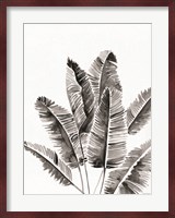 Organic Botanical III Fine Art Print