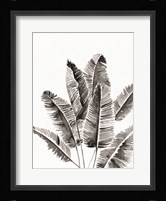 Organic Botanical III Framed Print