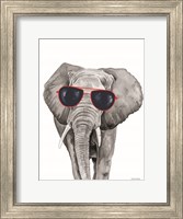 Looking Cool Elephant Fine Art Print