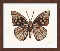 Papillon 1 Fine Art Print