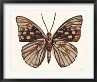 Papillon 1 Fine Art Print