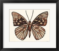 Papillon 1 Framed Print