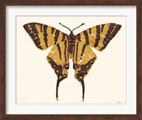 Papillon 2 Fine Art Print