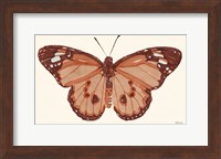 Papillon 3 Fine Art Print
