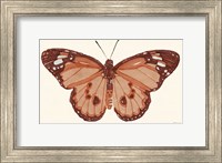 Papillon 3 Fine Art Print