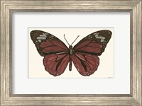 Papillon 4 Fine Art Print