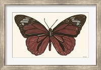 Papillon 4 Fine Art Print