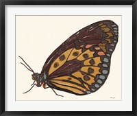 Papillon 5 Fine Art Print