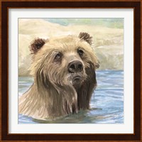 Bear Bath Fine Art Print