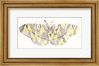 Yellow-Gray Patterned Moth 1 Fine Art Print