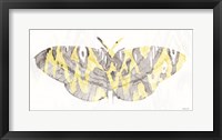 Yellow-Gray Patterned Moth 1 Fine Art Print