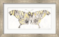 Yellow-Gray Patterned Moth 2 Fine Art Print
