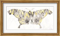 Yellow-Gray Patterned Moth 2 Fine Art Print