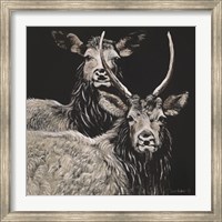 Two Woodland Deer Fine Art Print