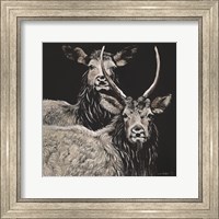 Two Woodland Deer Fine Art Print