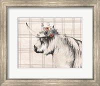 Highland Cow in Gray Fine Art Print