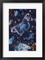 Confetti with Butterflies I Framed Print