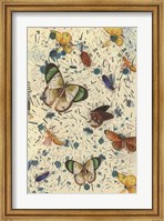Confetti with Butterflies III Fine Art Print