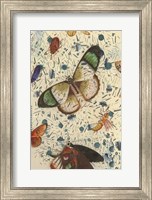 Confetti with Butterflies IV Fine Art Print