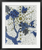Chakra Web with Butterfly Fine Art Print