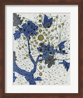Chakra Web with Butterfly Fine Art Print