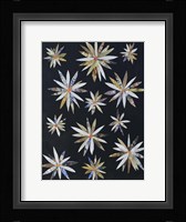 Starburst Too I Framed Print