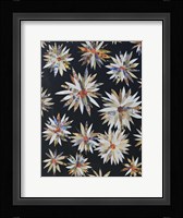 Starburst Too II Framed Print