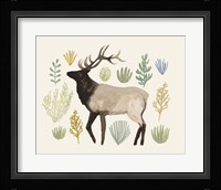 Sagebrush Prairie IV Framed Print