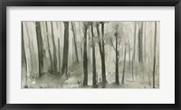 Into the Woods I Framed Print