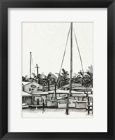 Neutral Tropics III Framed Print