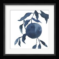 Indigo Oranges IV Framed Print