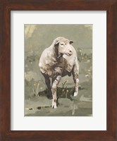 Spring Sheep I Fine Art Print