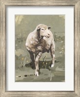 Spring Sheep I Fine Art Print
