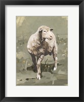 Spring Sheep I Framed Print