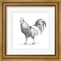 Barn Fowl I Fine Art Print