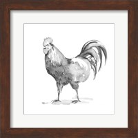 Barn Fowl I Fine Art Print