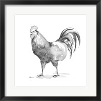 Barn Fowl I Framed Print