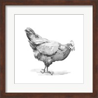 Barn Fowl II Fine Art Print