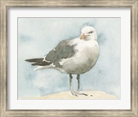Simple Seagull I Fine Art Print