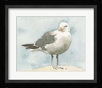 Simple Seagull I Framed Print