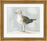 Simple Seagull II Fine Art Print