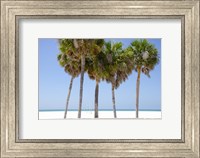 Coastal Palms I Fine Art Print