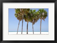 Coastal Palms I Fine Art Print