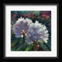 Rhododendron Portrait I Fine Art Print